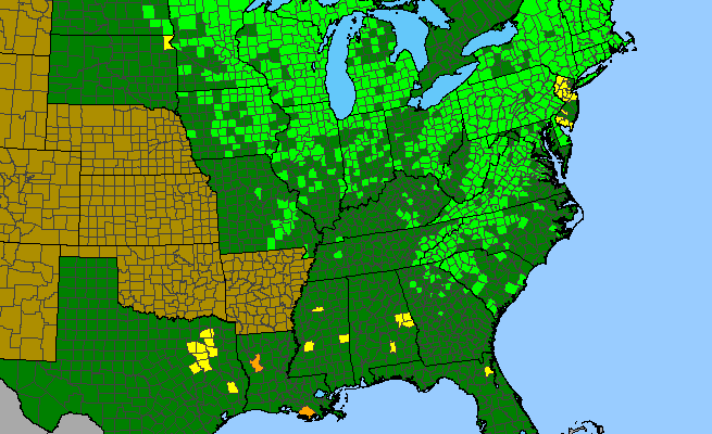 The range of Symphyotrichum puniceum
